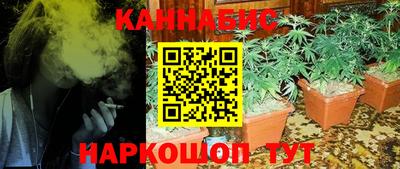 прущие крисы Кулебаки